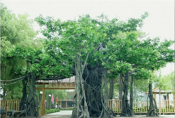 ٘TT^ɽT^Ř侰^(q)ʯɽTˮO(sh)Ӌ(j)ʩ